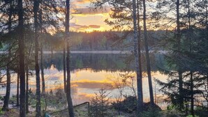 A forested area with tall trees and a calm lake reflecting the sunset.