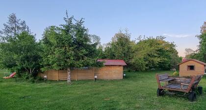 Amazing home in Rekowo