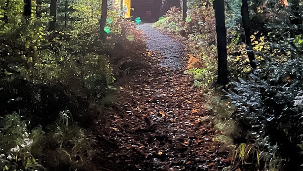 Eine Holzhütte mit Veranda und einem von Bäumen gesäumten Weg.