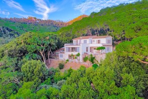 المنشأة من الخارج