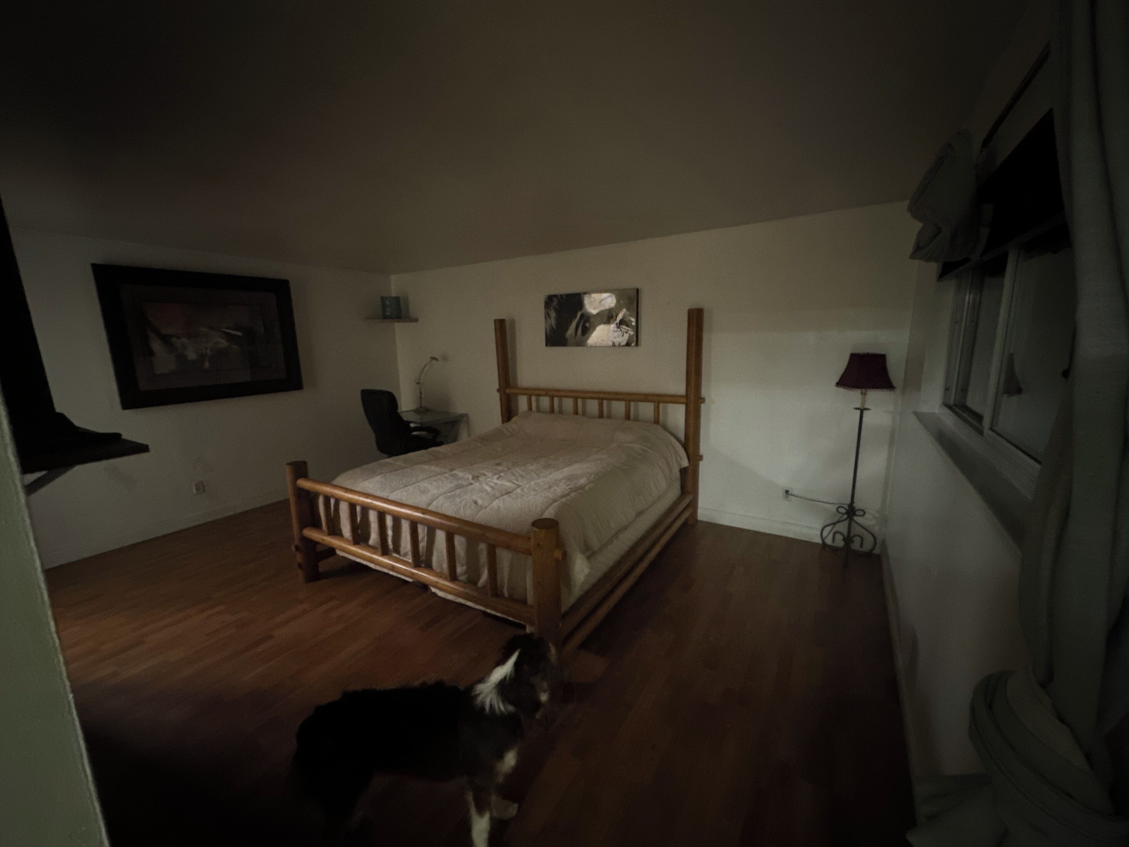 Cozy cabin in enjoyable South Lake Tahoe with WiFi