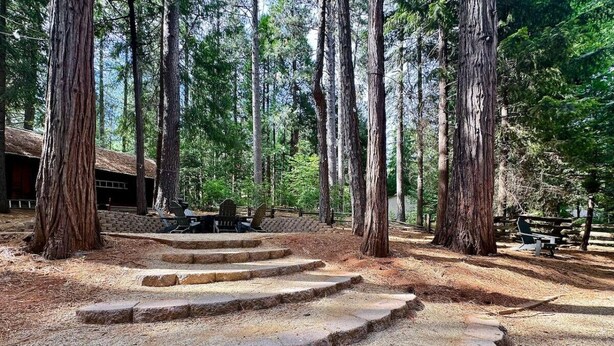 A set of stone steps leading up to a cabin in a forested area. - Whispering Pines: Garage Parking & Game Room (Pollock Pines)