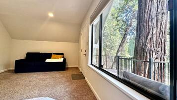 TV, fireplace, foosball, table tennis