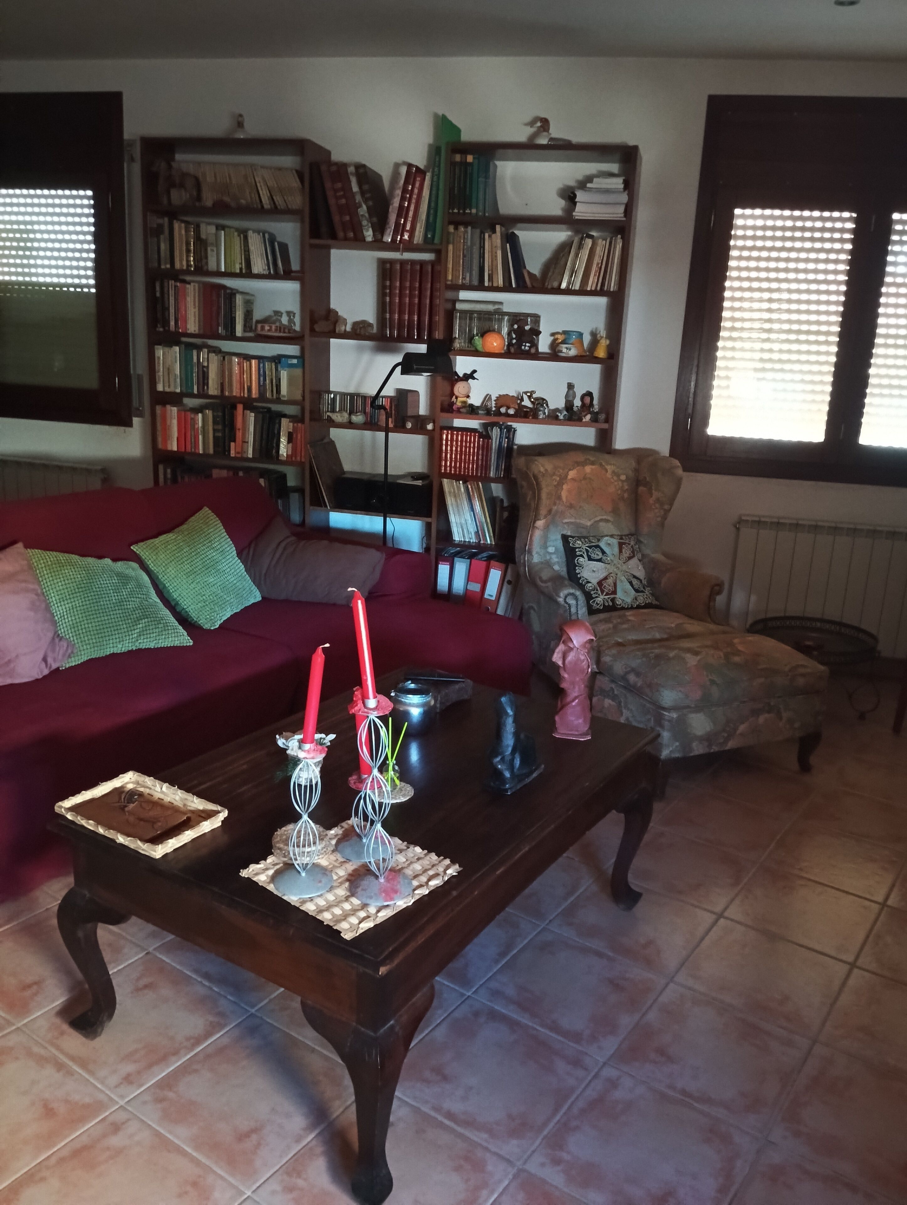 TV connectée, cheminée, lecteur de DVD, livres
