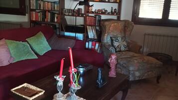 TV connectée, cheminée, lecteur de DVD, livres