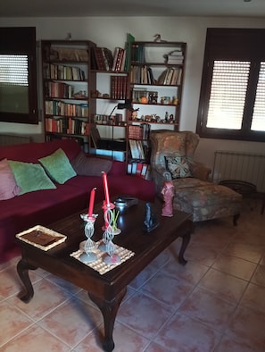 TV connectée, cheminée, lecteur de DVD, livres