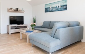 TV, fireplace - Nice apartment in Olpenitz with sauna (Olpenitz)