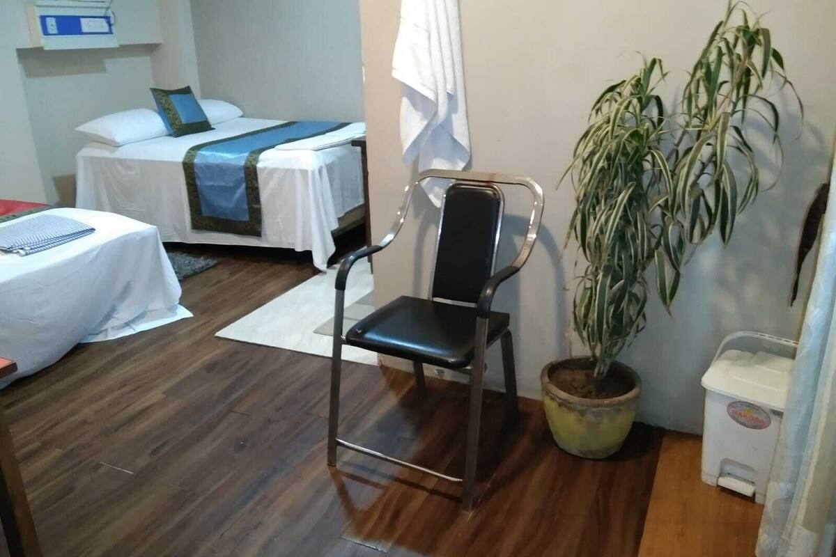 Habitación de hotel con cama, una silla, una mesita, una planta en maceta y un cesto de basura.