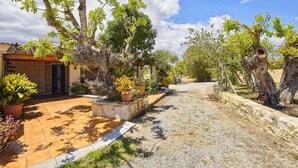 A courtyard with a tiled patio, potted plants, and a pathway leading to a building with a tiled roof. - Finca in Mallorca with Private Pool & Views (Son Macià)