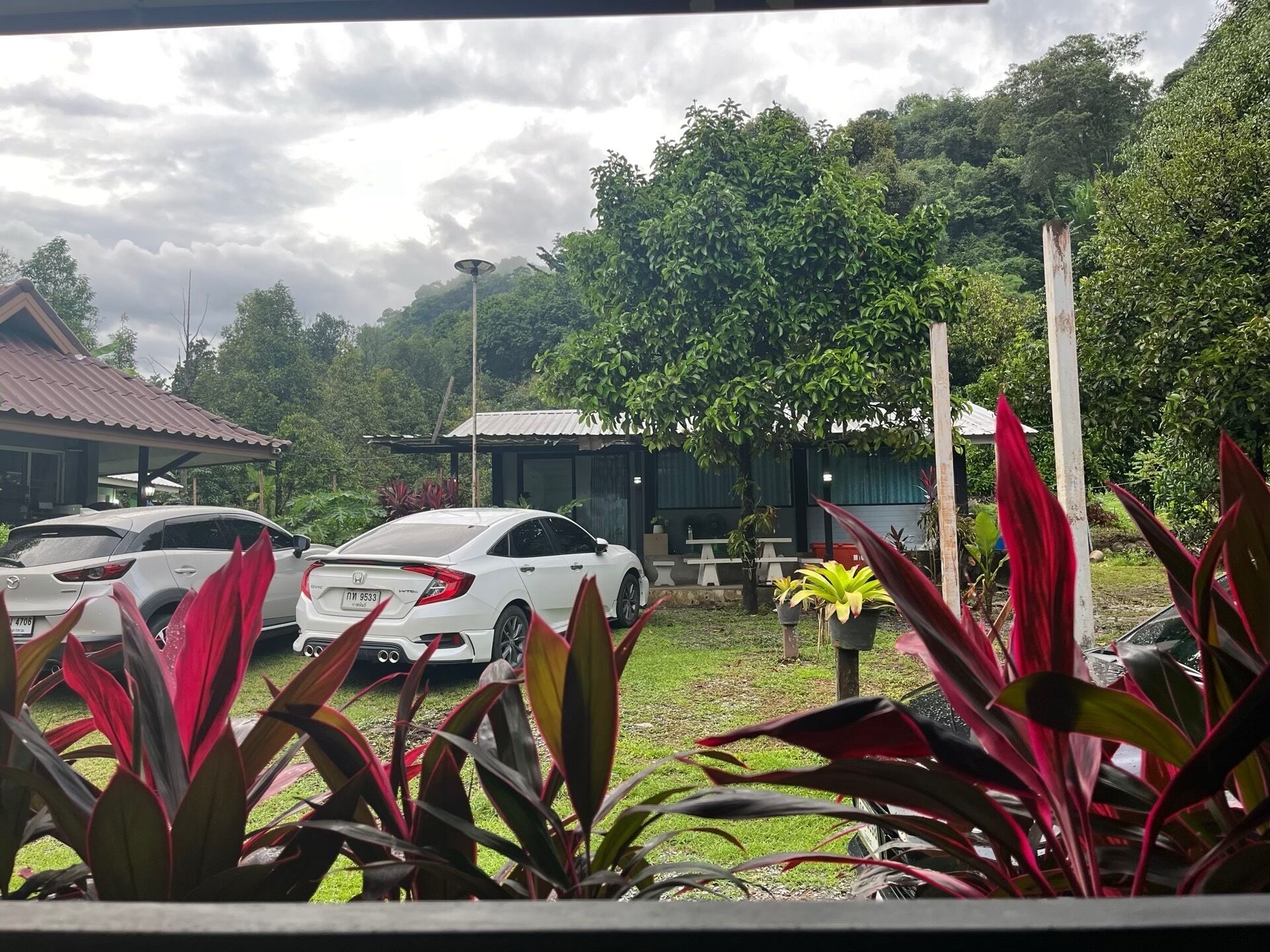 Un estacionamiento con dos coches blancos, rodeado de abundante follaje y un edificio con techo rojo.