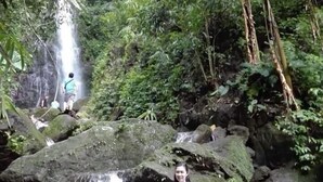 Una cascada en un entorno boscoso y exuberante.