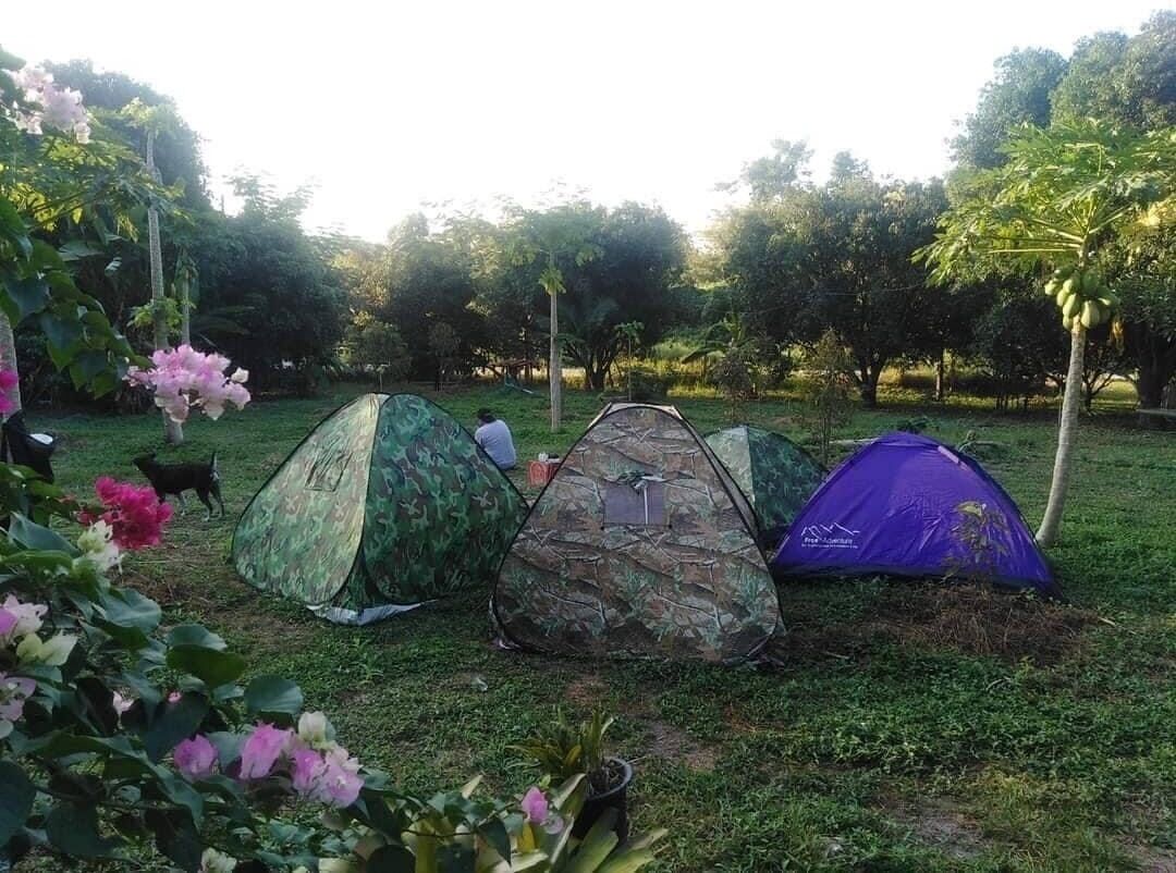 Three tents in a grassy area with trees and flowers in the background.