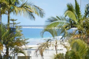 A beach view with palm trees and a clear sky. - Seagate Escape at Caloundra (Caloundra Region)