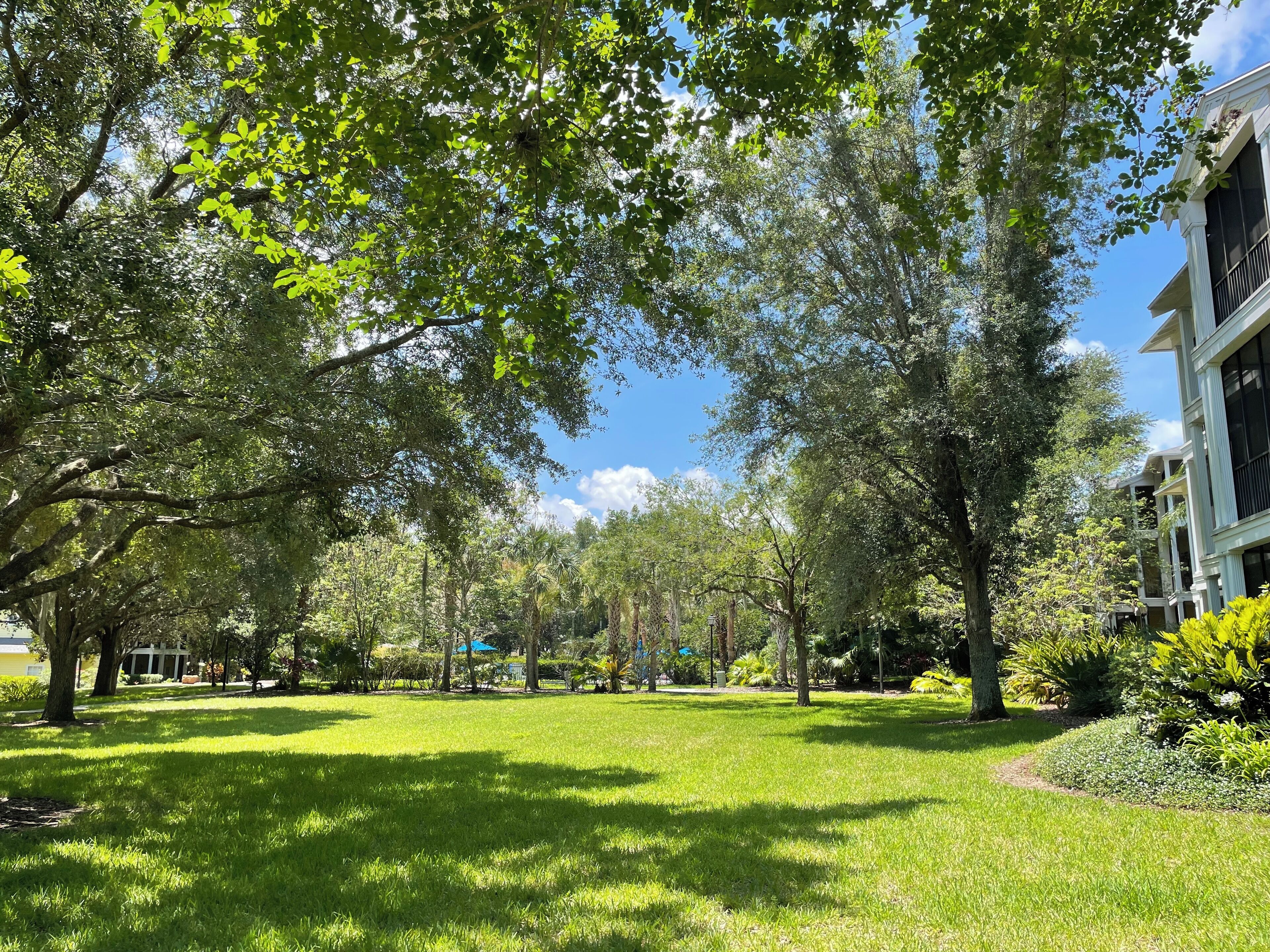Parco della struttura