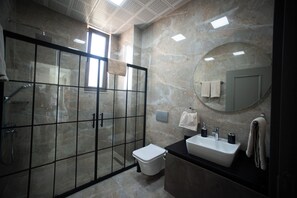 Shower, hair dryer, towels