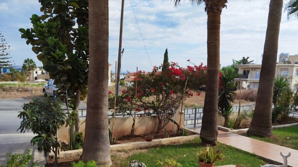 Un patio al aire libre con una mesa y sillas, rodeado de plantas en macetas y palmeras.