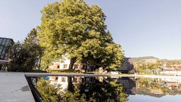 Sesongbasert utendørsbasseng, bassengtelt (inkludert) og solsenger