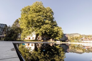 Sesongbasert utendørsbasseng, bassengtelt (inkludert) og solsenger