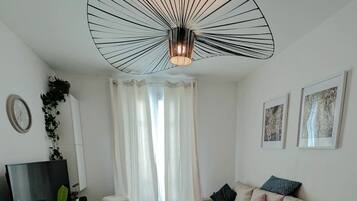 TV, fireplace, books, printers