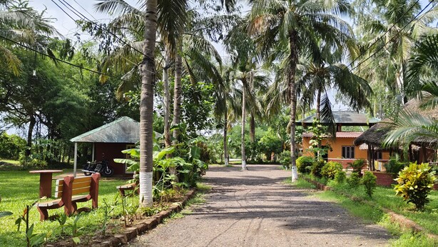 A pathway leading to a building with a thatched roof, surrounded by lush greenery and palm trees. - NuaGoa Nature Retreat Private Limited (Cuttack)