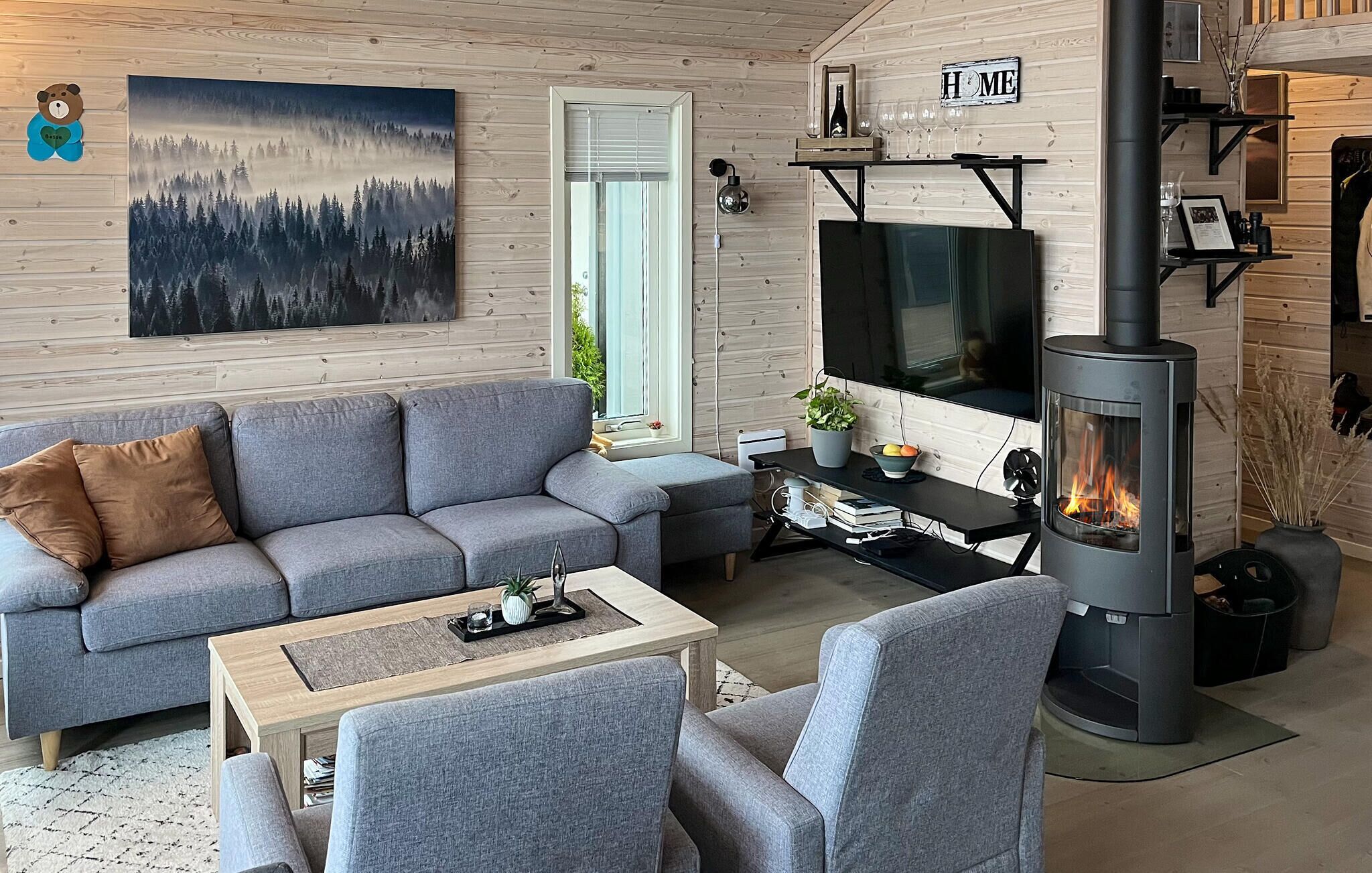 تلفزيون، مدفأة