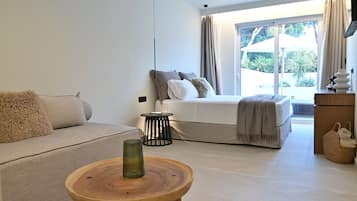 Suite with terrace 102