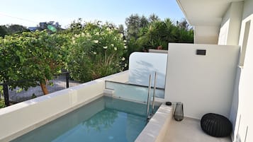 Junior suite with private pool 101