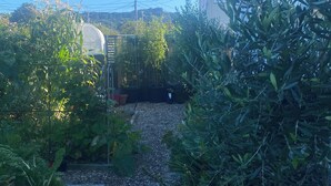 Un jardín con diversas plantas y un camino de grava.