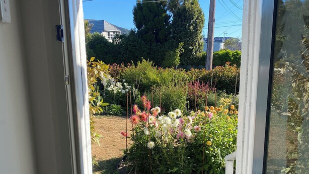 Una puerta que da a un jardín con diversas plantas y flores.