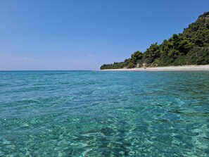 A clear view of a beach with turquoise water and a forested hillside.