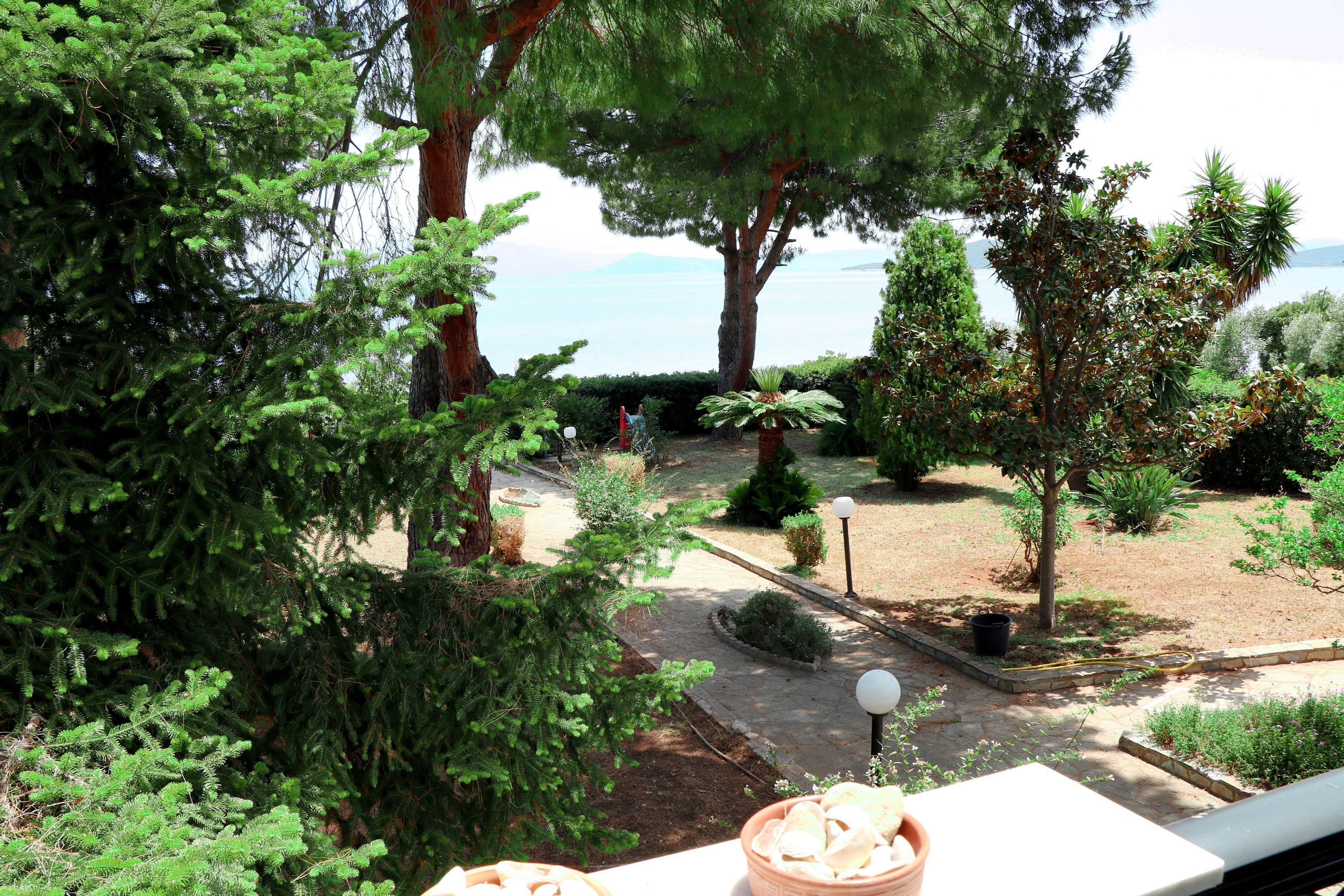 Un jardin avec un sentier, des arbres et une vue sur la mer.
