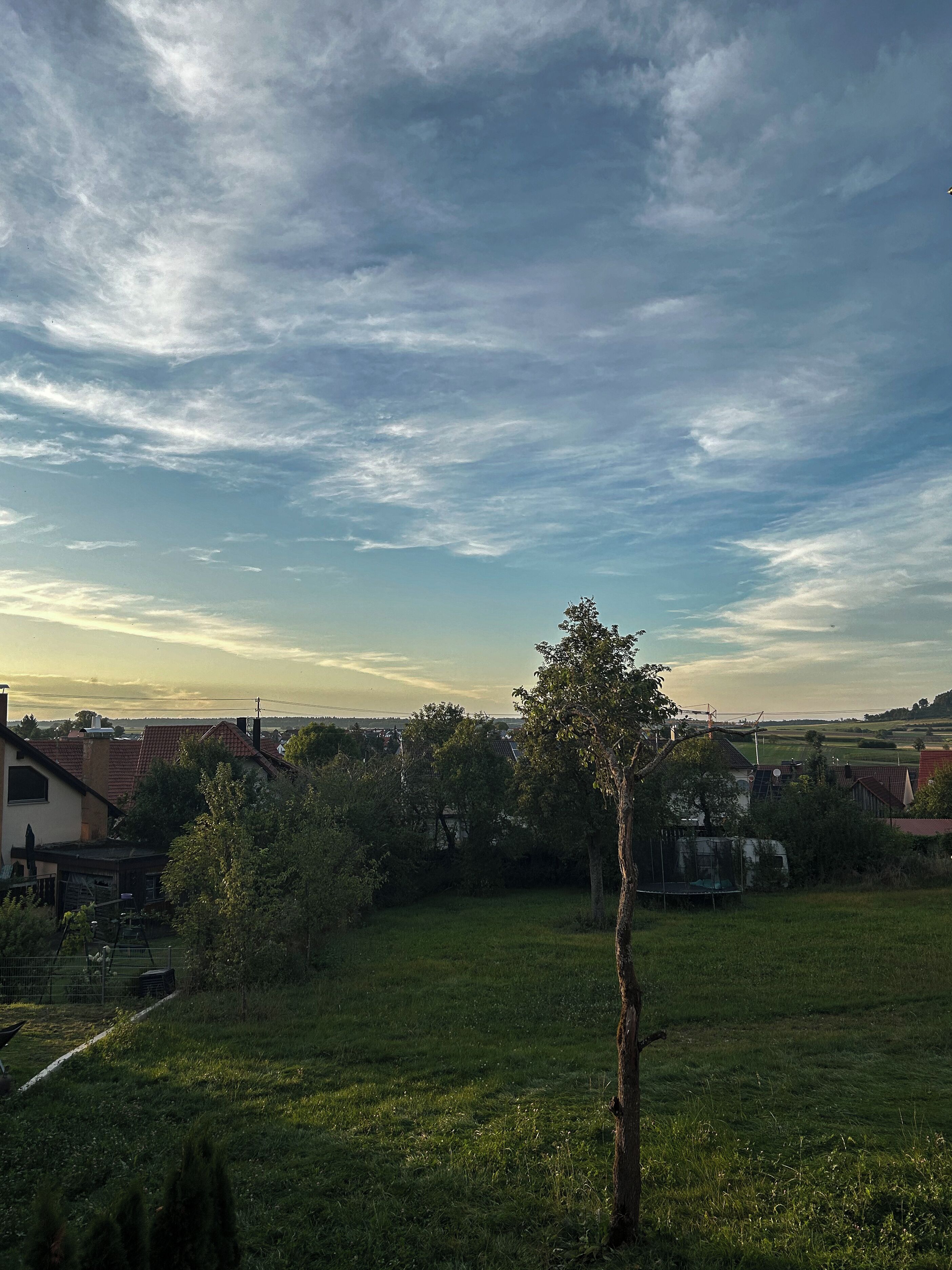 A rural landscape with a clear sky, a solitary tree, and distant buildings.