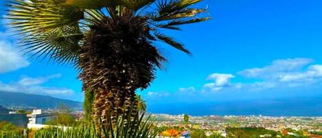 Apartment | 7 Schlafzimmer