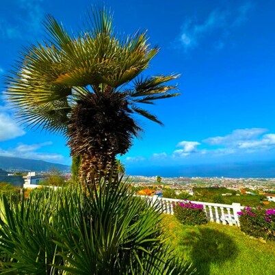 Villa in La Orotava 7 Bedrooms 1 bed 7 Baths