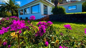 A modern two-story house with large windows, a stone wall, and a well-maintained garden with vibrant flowers. - Villa in La Orotava 7 Bedrooms 1 bed 7 Baths (La Orotava)