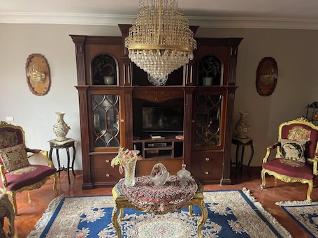 Recepción. Dokki apartment