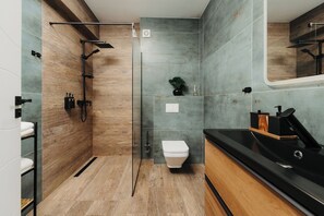 Sèche-cheveux, serviettes fournies, savon, papier toilette