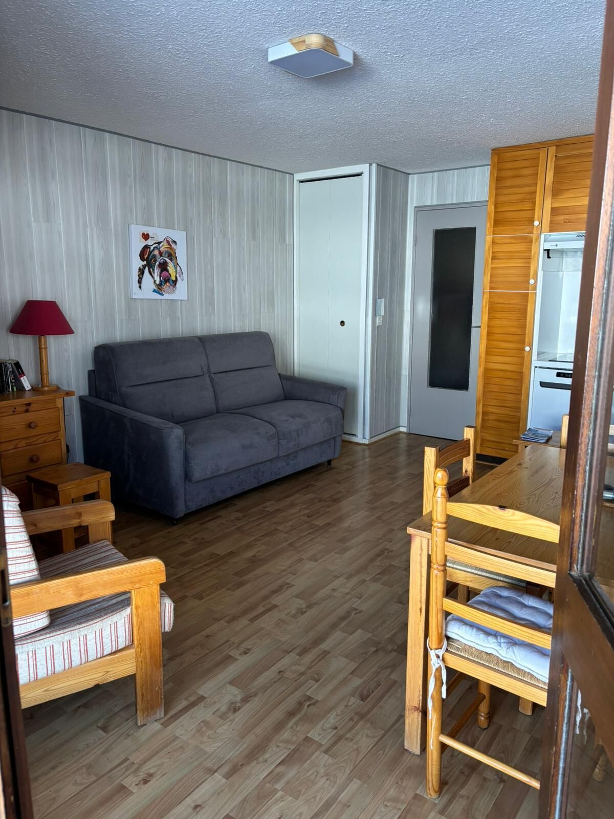 TV, DVD player, books, video library