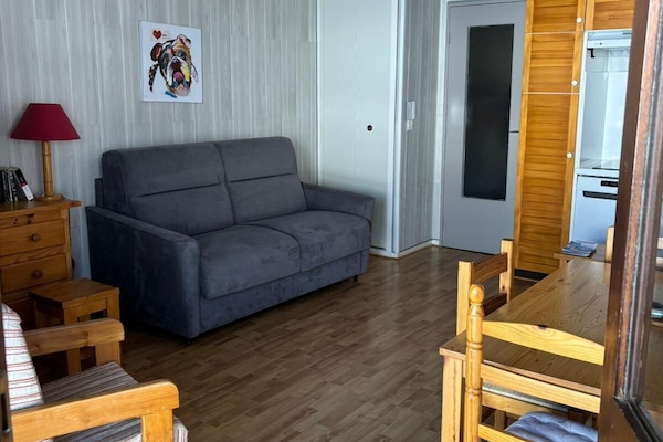 Tv, dvd-spelare, böcker och ett filmbibliotek