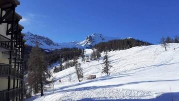 Sneeuw- en skisporten