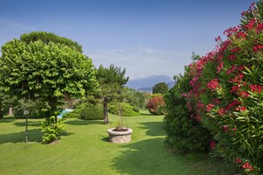 Property grounds - Apartment Babila Home (Bardolino)