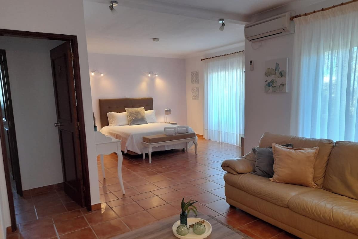 Suite estudio, para no fumadores, vista al jardín | Ropa de cama hipoalergénica y caja de seguridad en la habitación