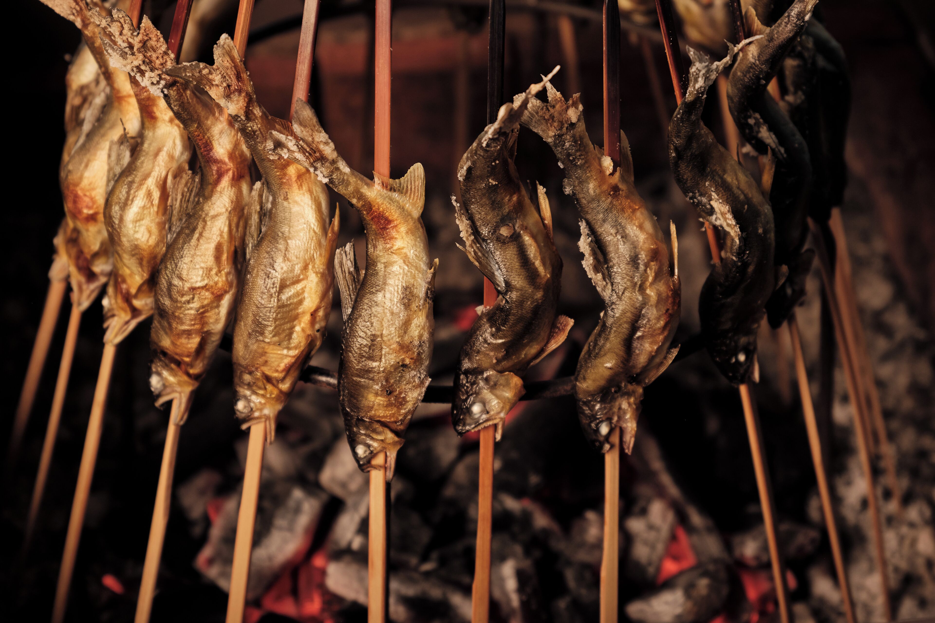 Plusieurs poissons grillés à la brochette au-dessus d’une flamme nue.