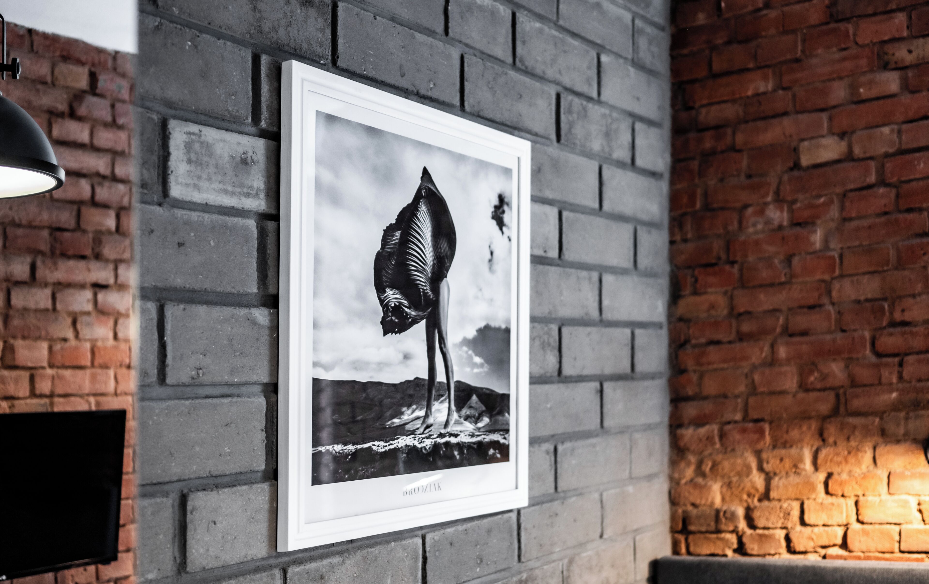 Een zwart-wit foto in een lijst van een vogel op een tak, bevestigd aan een bakstenen muur.