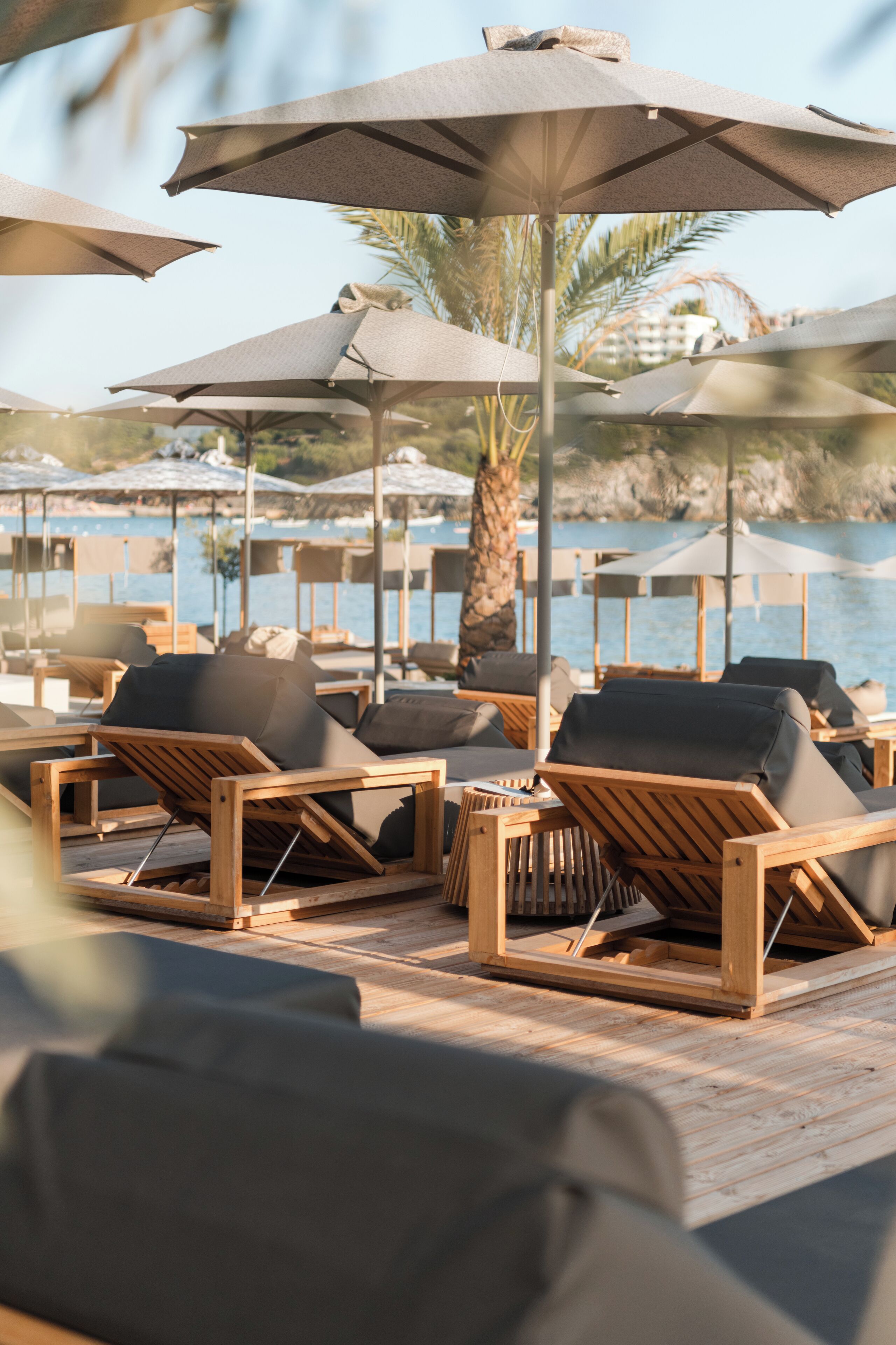 A wooden deck with lounge chairs and umbrellas, overlooking a body of water with a palm tree and buildings in the background.