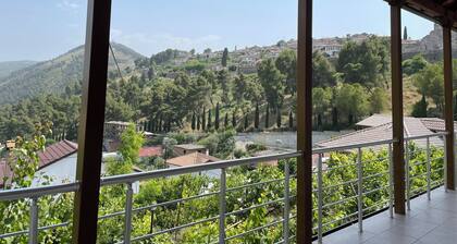 Grandfather Apartment just 100m from Berat Castle