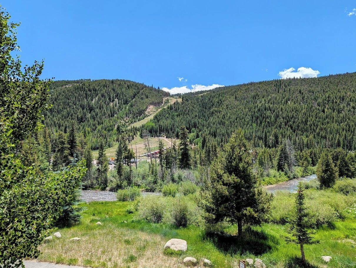 A mountainous landscape with dense forests, a river, and a small settlement in the valley.