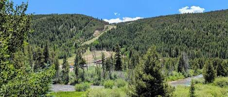 A mountainous landscape with dense forests, a river, and a small settlement in the valley.