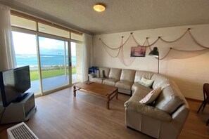 电视、DVD 播放器