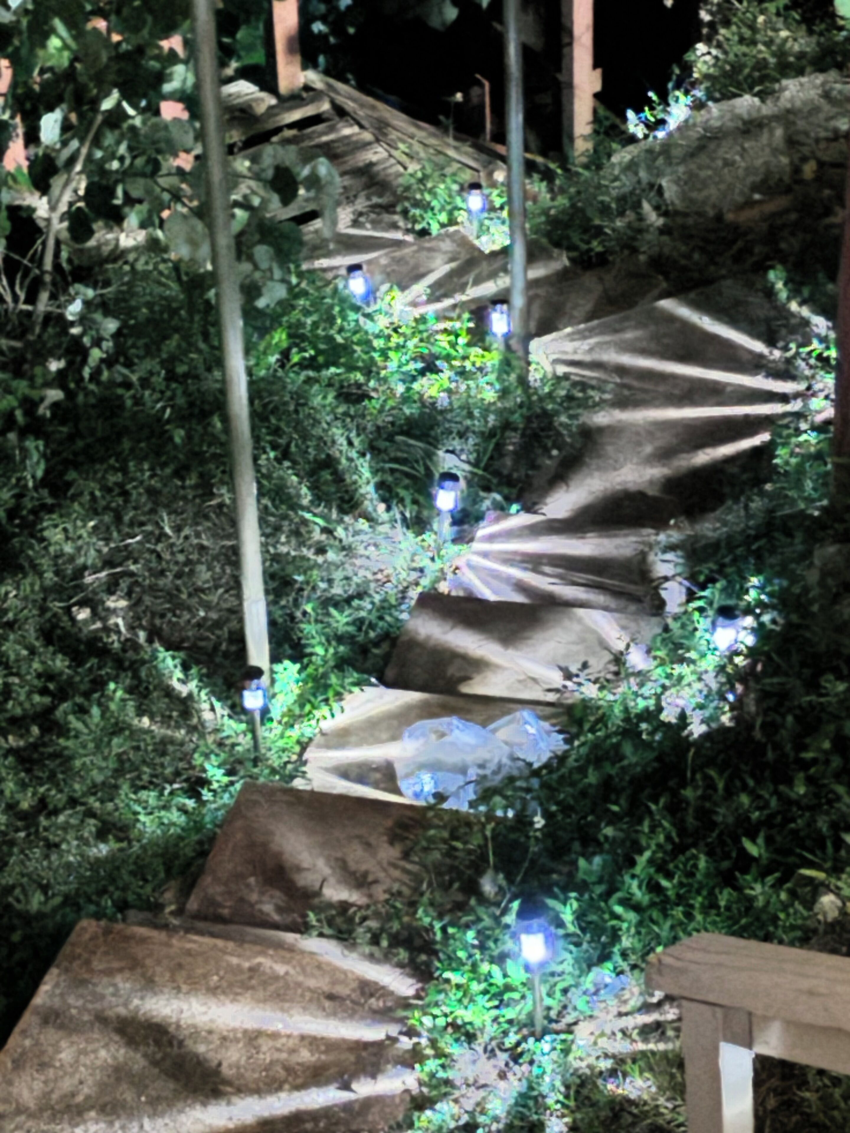 A stone staircase surrounded by greenery, with small lights along the path.